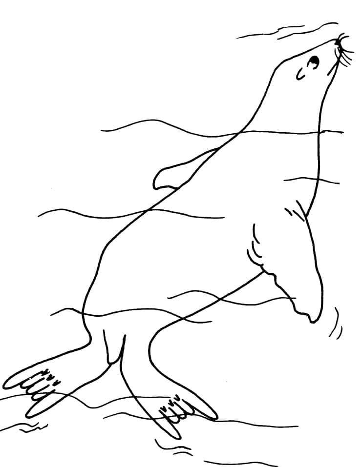 Dibujo gratuito Foca #188098 de la coleccion Animales para imprimir
