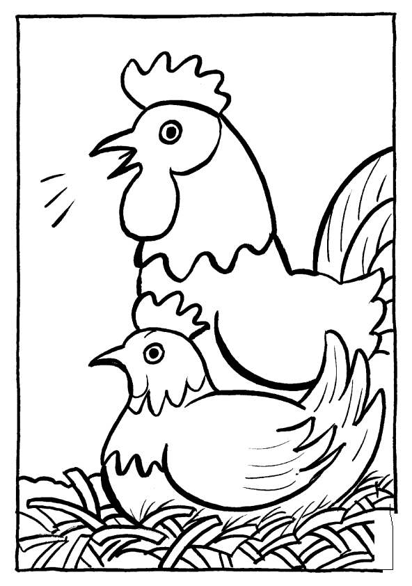 Dibujo para colorear: Gallina (Animales) #17455 - Dibujos para Colorear e Imprimir Gratis
