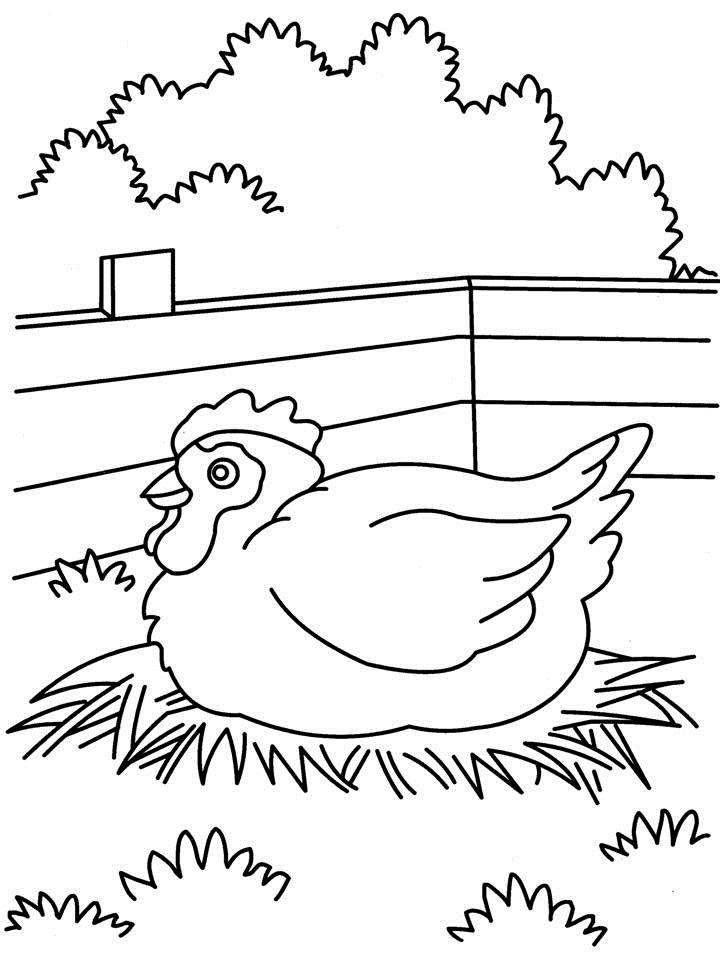 Dibujo para colorear: Gallina (Animales) #17535 - Dibujos para Colorear e Imprimir Gratis