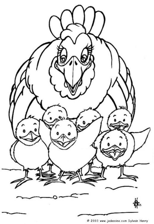 Dibujo para colorear: Gallina (Animales) #17543 - Dibujos para Colorear e Imprimir Gratis