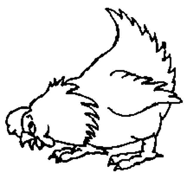 Dibujo para colorear: Gallina (Animales) #17580 - Dibujos para Colorear e Imprimir Gratis