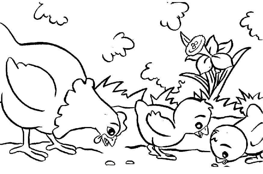 Dibujo gratuito Gallina y Pollito #193163 de la coleccion Animales para imprimir