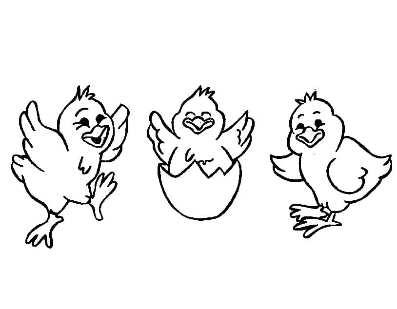 Dibujo gratuito Gallina y Pollito #193175 de la coleccion Animales para imprimir