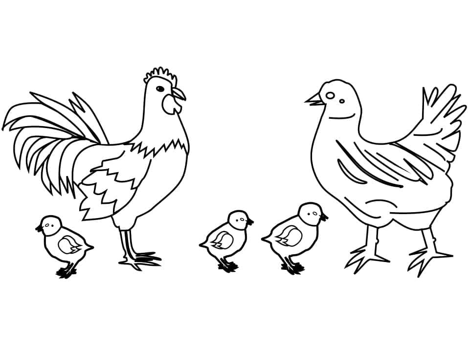 Dibujo gratuito Gallina y Pollito #193189 de la coleccion Animales para imprimir