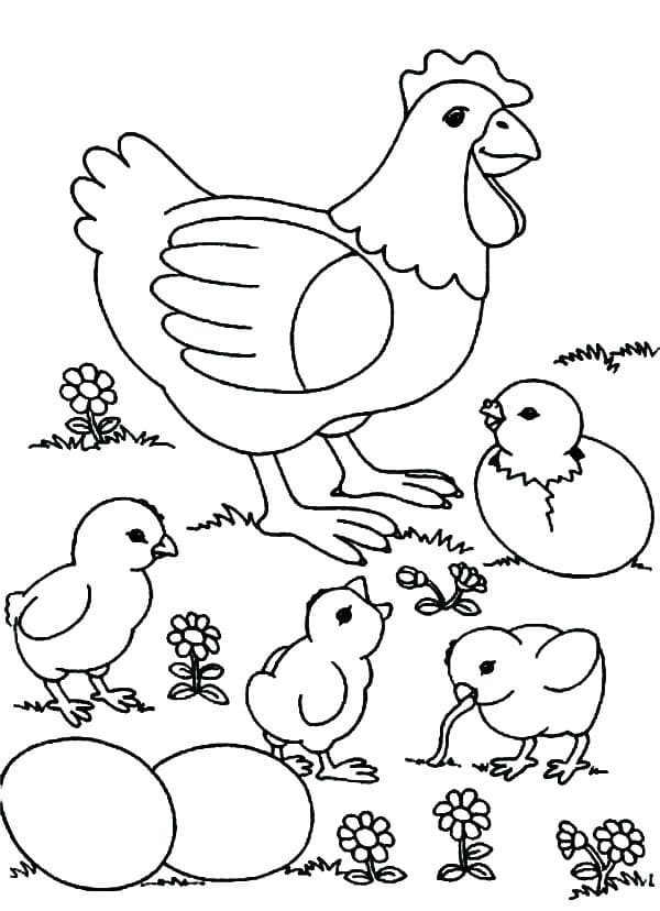 Dibujo gratuito Gallina y Pollito #193191 de la coleccion Animales para imprimir
