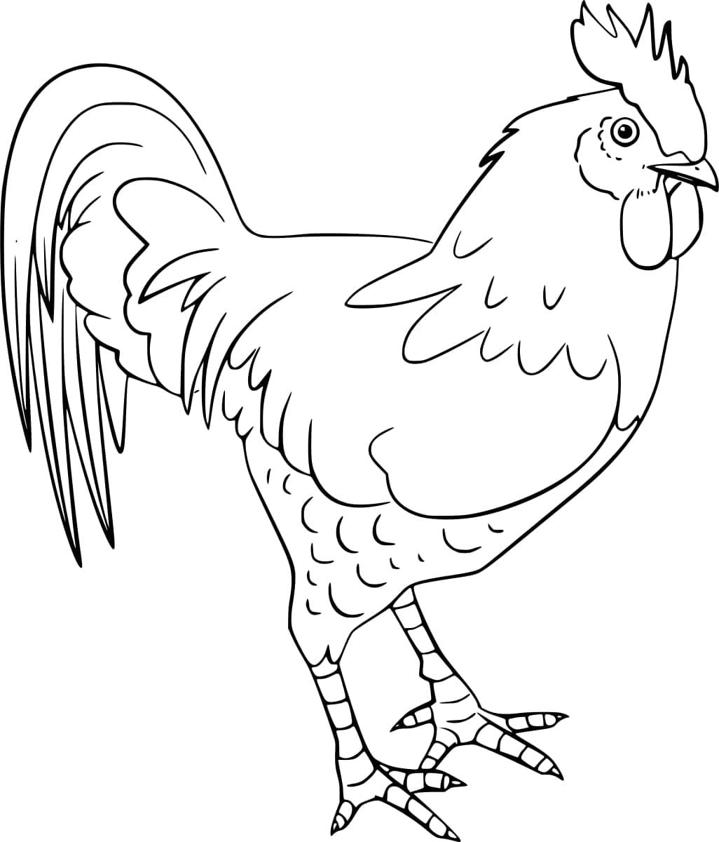 Dibujo gratuito Gallo #207122 de la coleccion Animales para imprimir
