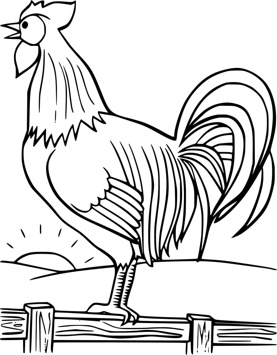 Dibujo gratuito Gallo #207127 de la coleccion Animales para imprimir