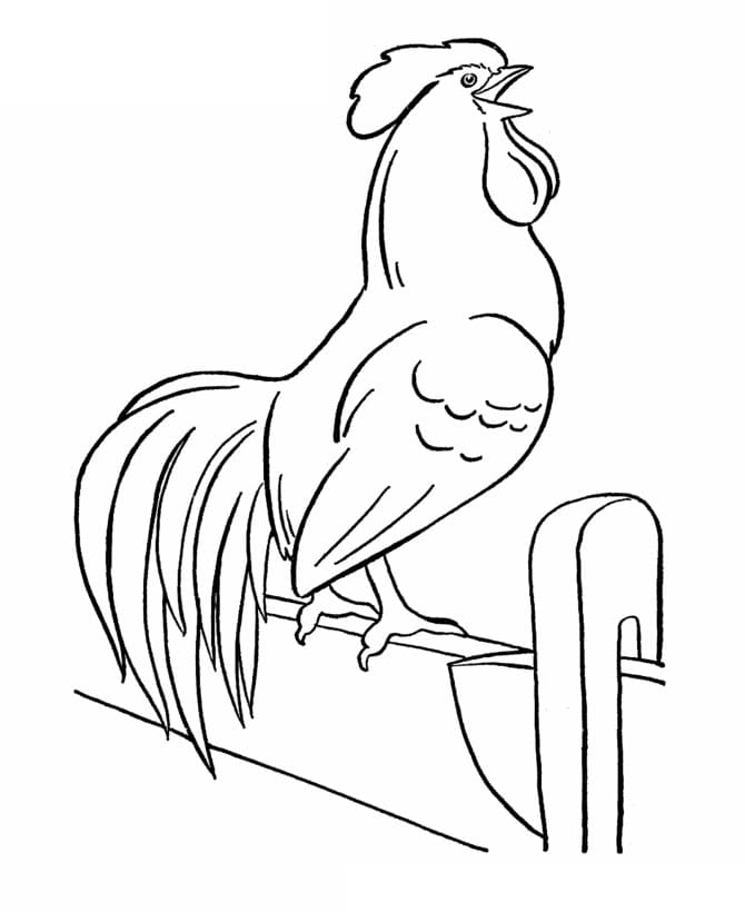 Dibujo gratuito Gallo #207144 de la coleccion Animales para imprimir