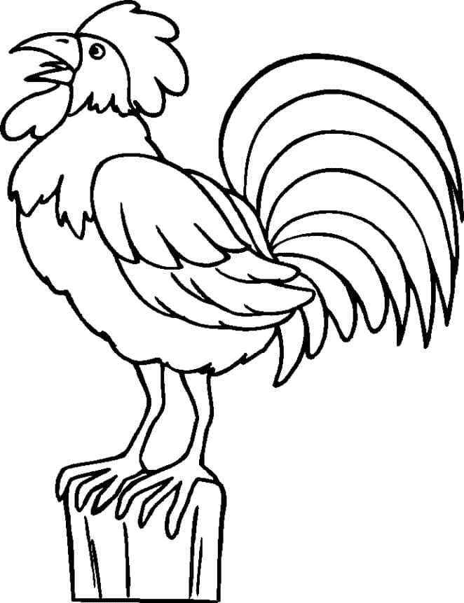 Dibujo gratuito Gallo #207148 de la coleccion Animales para imprimir
