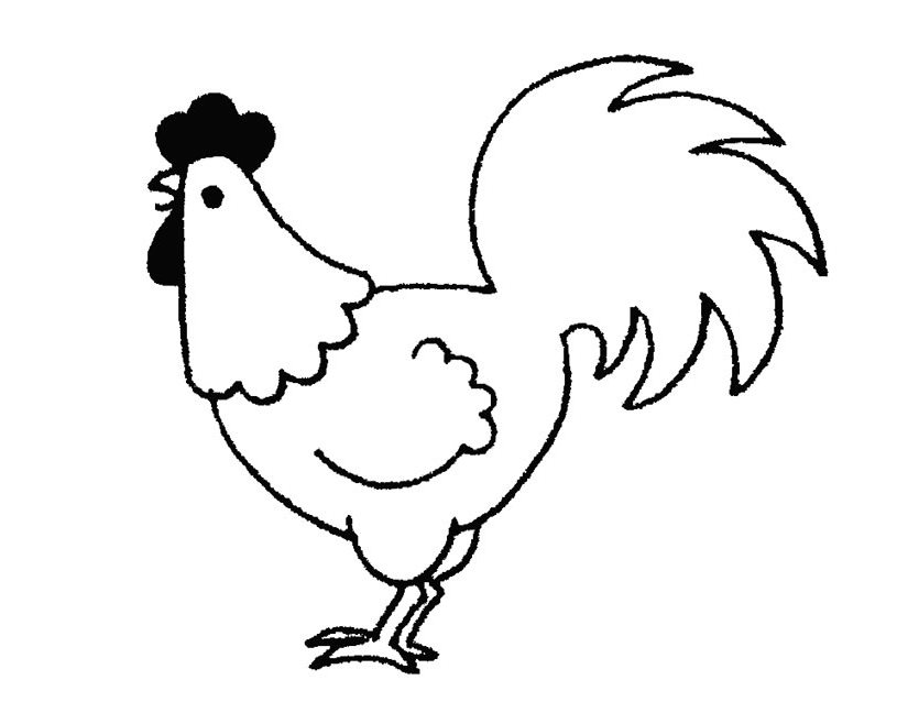 Dibujos de Gallo (Animales) para colorear – Páginas imprimibles gratis