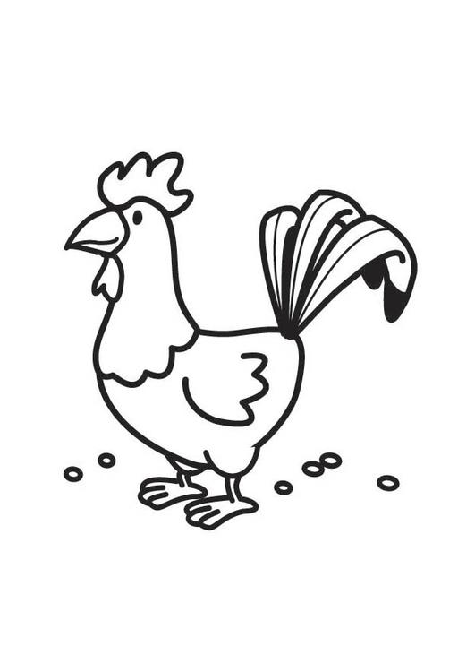 Dibujo para colorear: Gallo (Animales) #4118 - Dibujos para Colorear e Imprimir Gratis