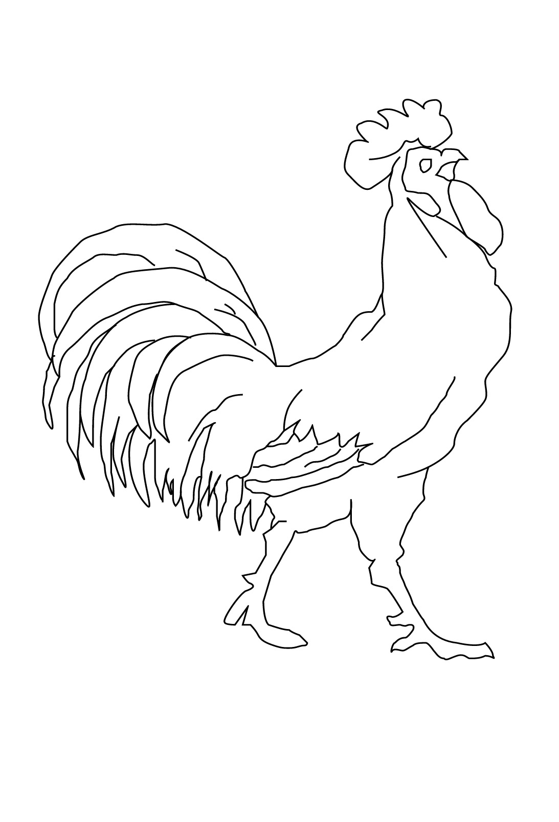 Dibujo para colorear: Gallo (Animales) #4119 - Dibujos para Colorear e Imprimir Gratis