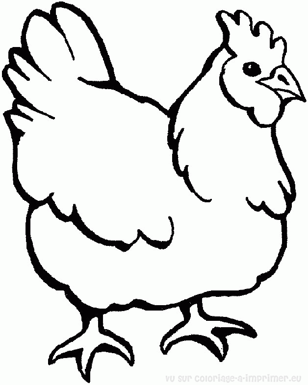 Dibujo para colorear: Gallo (Animales) #4128 - Dibujos para Colorear e Imprimir Gratis