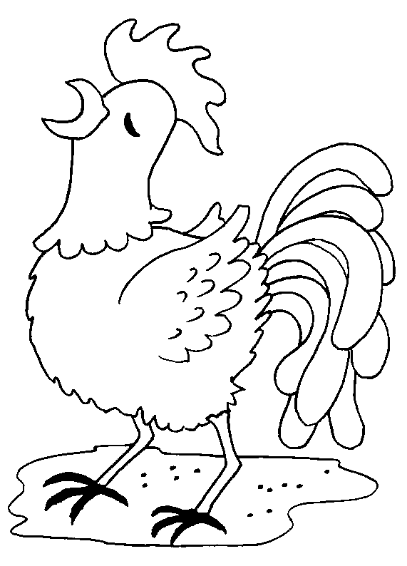 Dibujo para colorear: Gallo (Animales) #4161 - Dibujos para Colorear e Imprimir Gratis