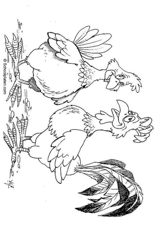 Dibujo para colorear: Gallo (Animales) #4171 - Dibujos para Colorear e Imprimir Gratis