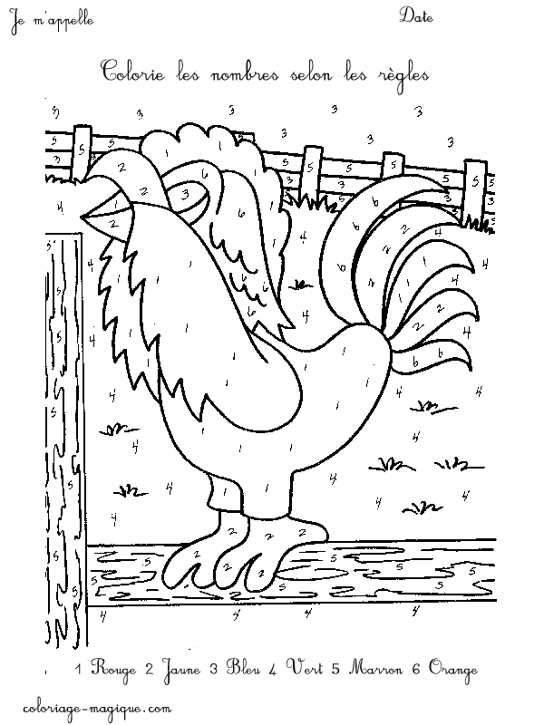 Dibujo para colorear: Gallo (Animales) #4205 - Dibujos para Colorear e Imprimir Gratis