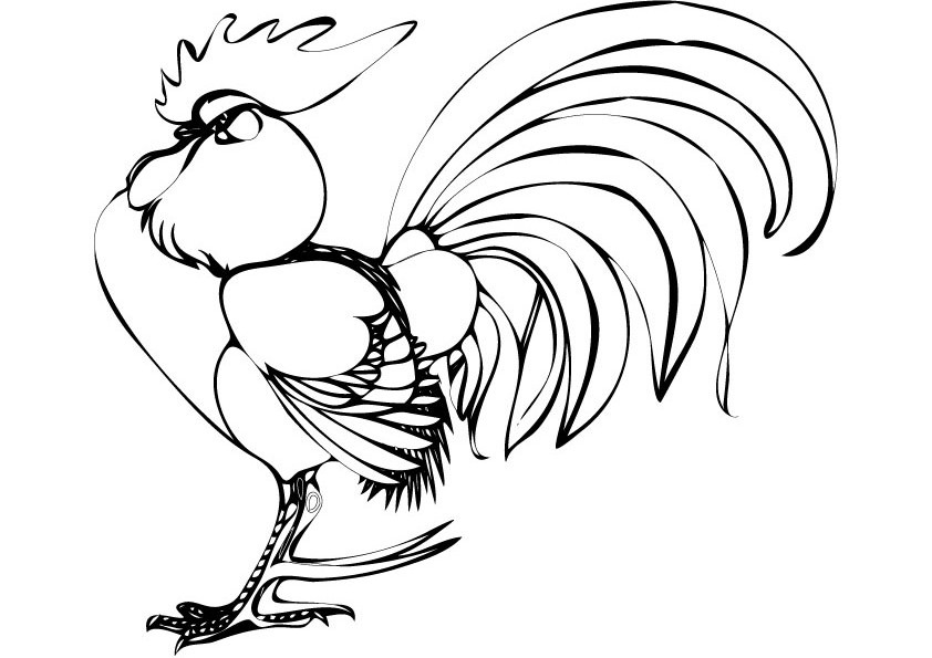 Dibujo para colorear: Gallo (Animales) #4211 - Dibujos para Colorear e Imprimir Gratis