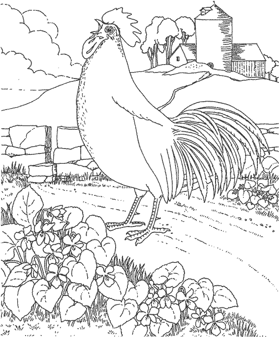 Dibujo para colorear: Gallo (Animales) #4215 - Dibujos para Colorear e Imprimir Gratis