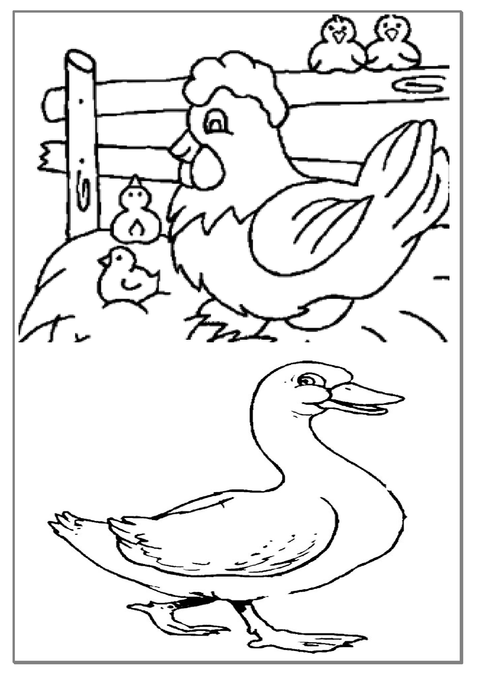 Dibujo para colorear: Ganso (Animales) #11787 - Dibujos para Colorear e Imprimir Gratis