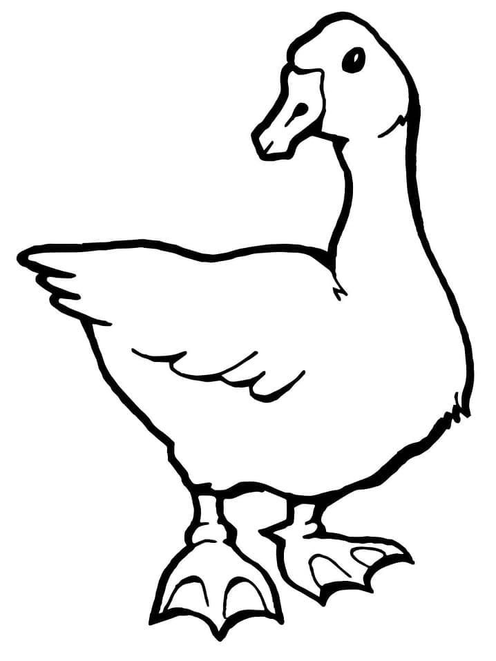 Dibujo gratuito Ganso #188125 de la coleccion Animales para imprimir