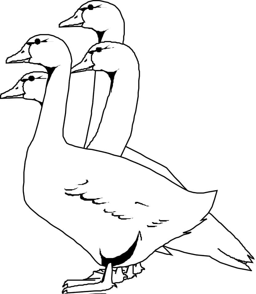Dibujo gratuito Ganso #188143 de la coleccion Animales para imprimir