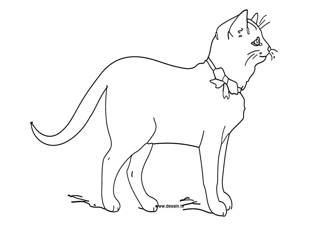 Dibujo gratuito Gatito #18084 de la coleccion Animales para imprimir