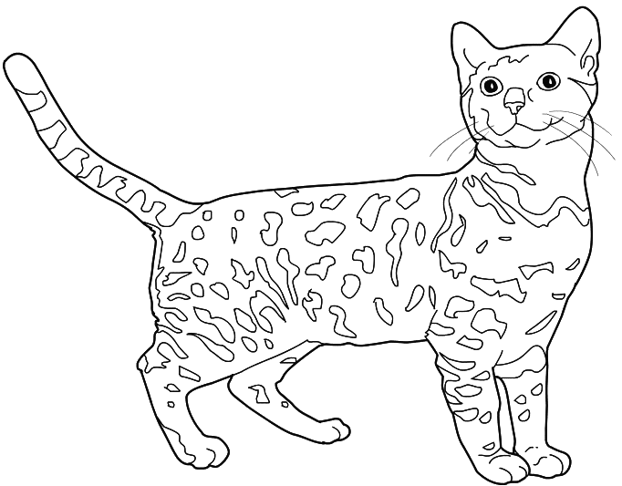 Dibujo gratuito Gatito #18101 de la coleccion Animales para imprimir