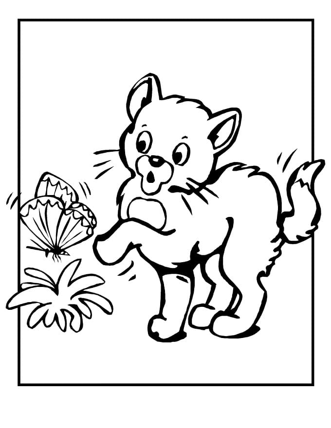 Dibujo gratuito Gato #174960 de la coleccion Animales para imprimir