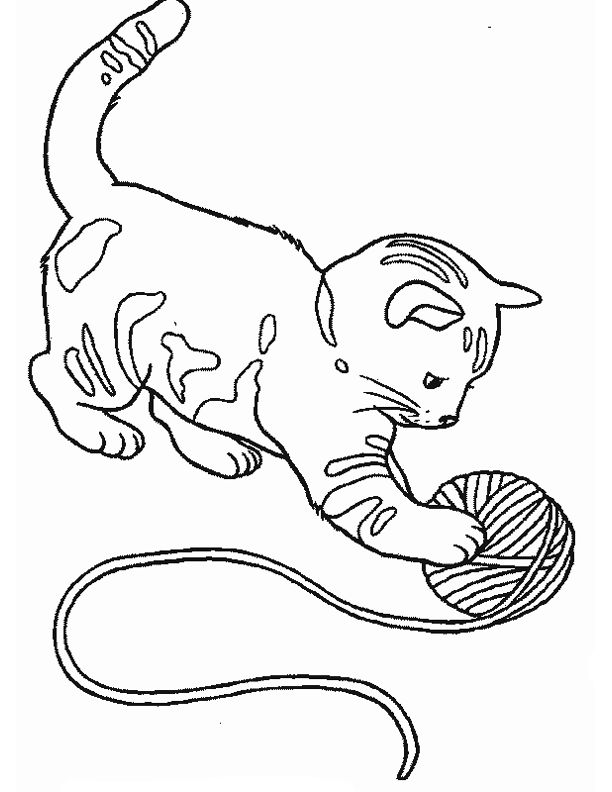 Dibujo para colorear: Gato (Animales) #1768 - Dibujos para Colorear e Imprimir Gratis