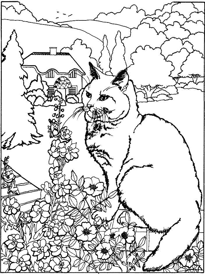 Dibujo para colorear: Gato (Animales) #1790 - Dibujos para Colorear e Imprimir Gratis