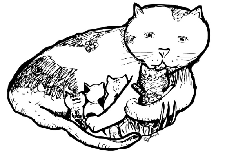 Dibujo para colorear: Gato (Animales) #1821 - Dibujos para Colorear e Imprimir Gratis
