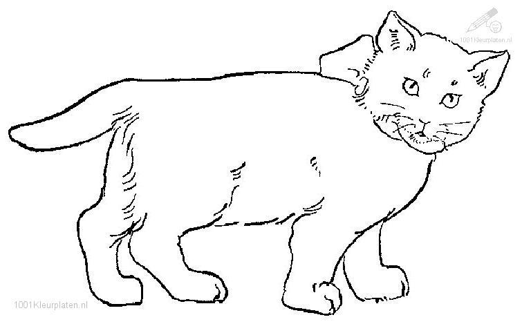 Dibujo para colorear: Gato (Animales) #1882 - Dibujos para Colorear e Imprimir Gratis