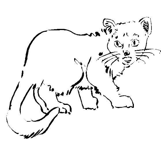 Dibujo para colorear: Gato (Animales) #1902 - Dibujos para Colorear e Imprimir Gratis