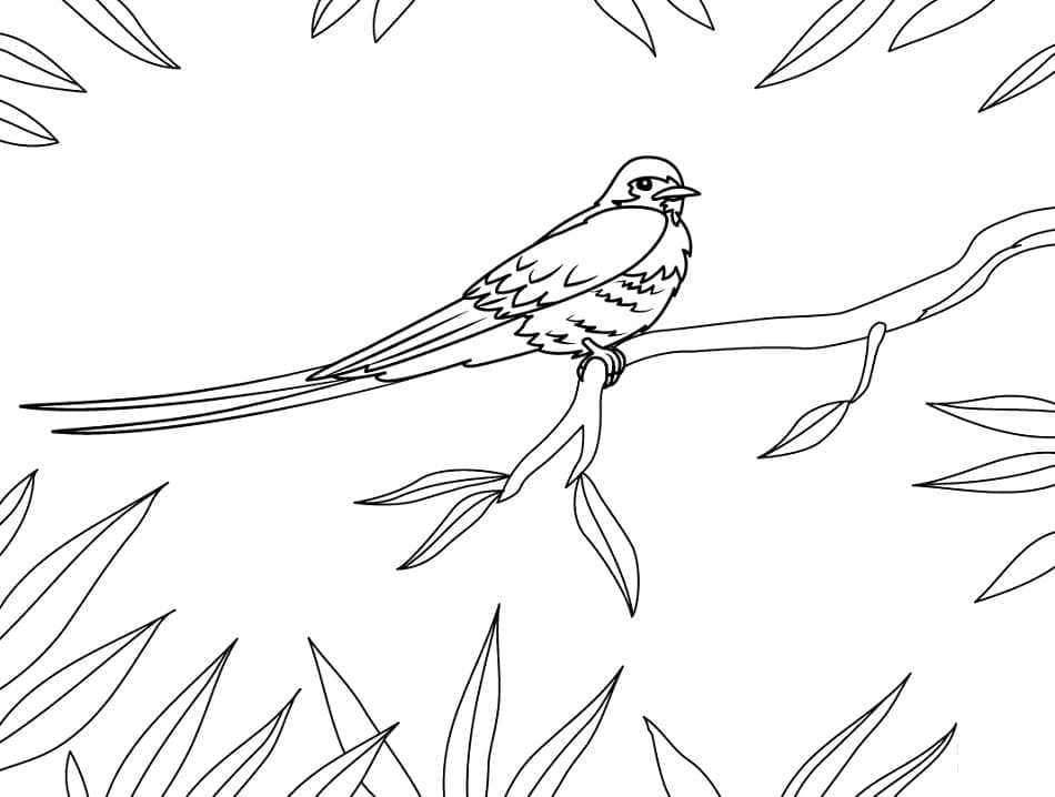 Dibujo gratuito Golondrina #210273 de la coleccion Animales para imprimir