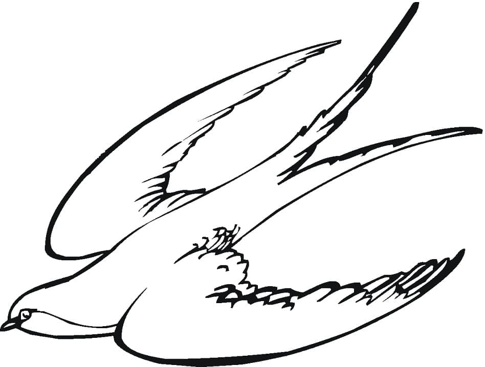 Dibujo gratuito Golondrina #210286 de la coleccion Animales para imprimir