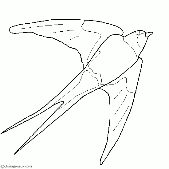 Dibujo gratuito Golondrina #8815 de la coleccion Animales para imprimir
