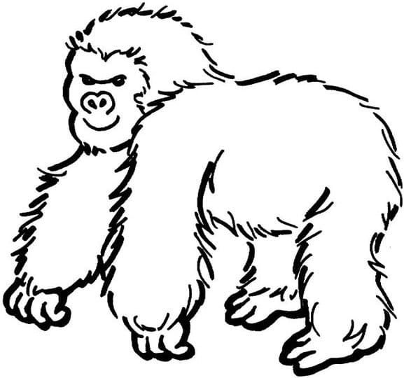 Dibujo gratuito Gorila #188934 de la coleccion Animales para imprimir