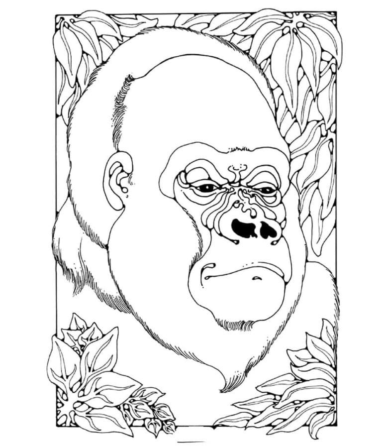 Dibujo gratuito Gorila #188935 de la coleccion Animales para imprimir