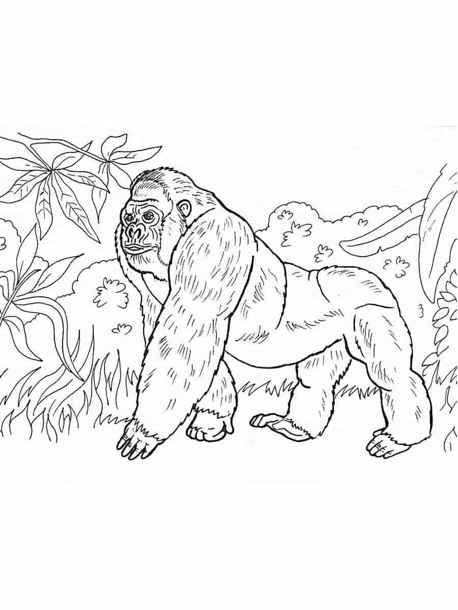 Dibujo gratuito Gorila #188947 de la coleccion Animales para imprimir
