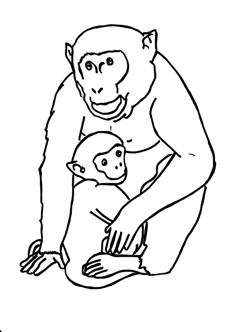 Dibujo para colorear: Gorila (Animales) #7476 - Dibujos para Colorear e Imprimir Gratis