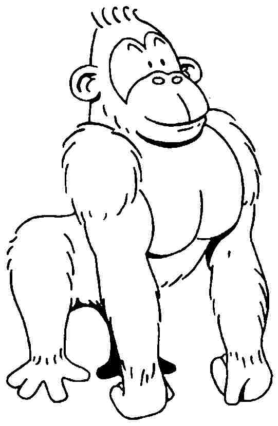 Dibujo para colorear: Gorila (Animales) #7495 - Dibujos para Colorear e Imprimir Gratis