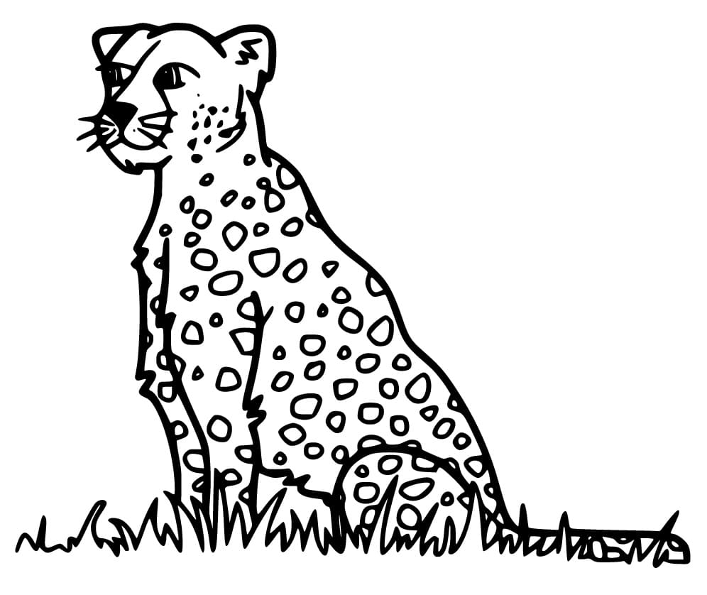Dibujo gratuito Guepardo #188878 de la coleccion Animales para imprimir