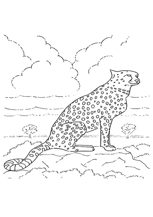 Dibujo gratuito Guepardo #188884 de la coleccion Animales para imprimir