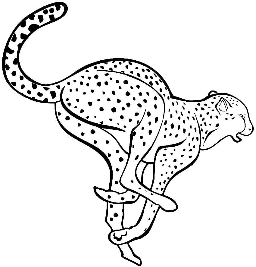 Dibujo gratuito Guepardo #188894 de la coleccion Animales para imprimir
