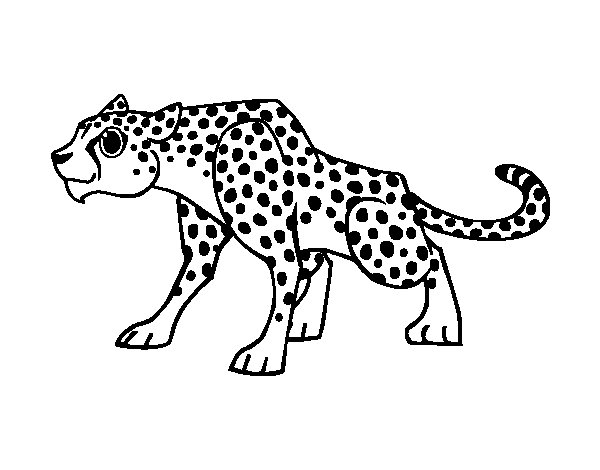 Dibujo para colorear: Guepardo (Animales) #7892 - Dibujos para Colorear e Imprimir Gratis