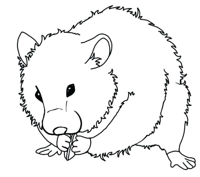 Dibujo gratuito Hámster #188852 de la coleccion Animales para imprimir