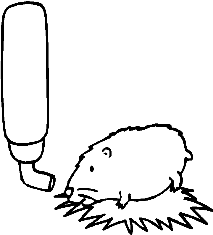 Dibujo para colorear: Hámster (Animales) #8049 - Dibujos para Colorear e Imprimir Gratis