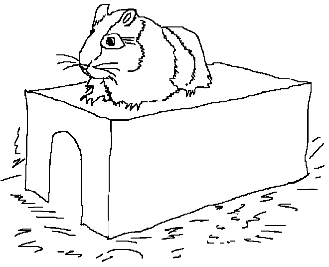 Dibujo para colorear: Hámster (Animales) #8066 - Dibujos para Colorear e Imprimir Gratis