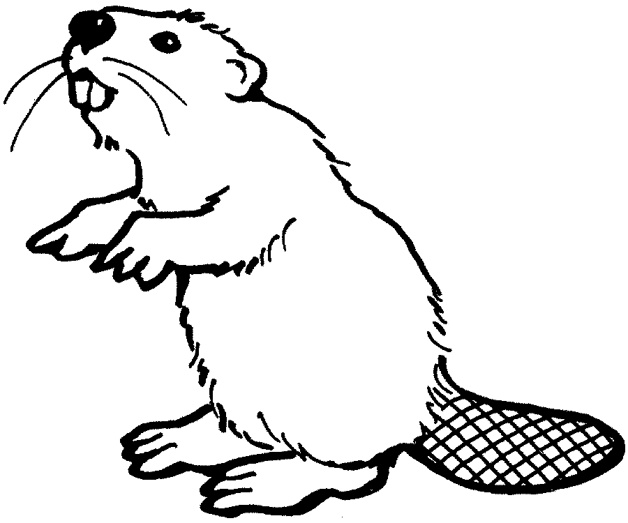 Dibujo para colorear: Hámster (Animales) #8112 - Dibujos para Colorear e Imprimir Gratis