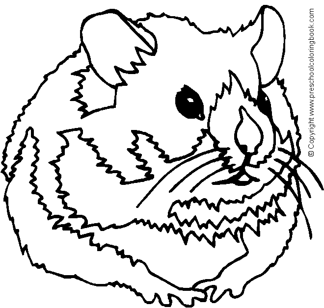 Dibujo para colorear: Hámster (Animales) #8139 - Dibujos para Colorear e Imprimir Gratis